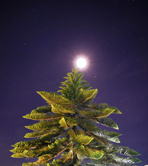 Fototapeta na wymiar Pine tree have the moon on top like a Christmas tree have big light. background many stars