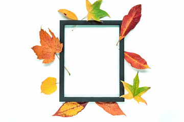 Black frame and yellow leaves on white background. Thanksgiving concept. Top view, flat lay, copy space.