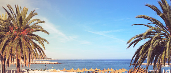 French Riviera - Menton - Palm trees and mediterranean sea