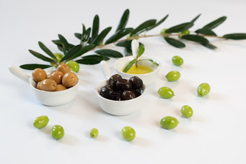 Black and green olives in white bowls with olive branch with green olives