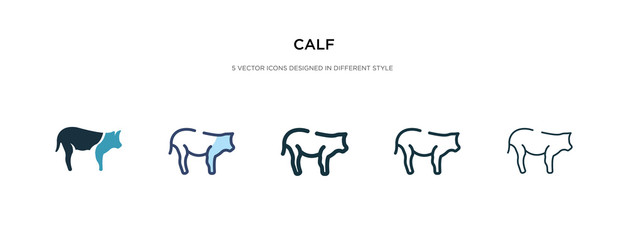calf icon in different style vector illustration. two colored and black calf vector icons designed in filled, outline, line and stroke style can be used for web, mobile, ui