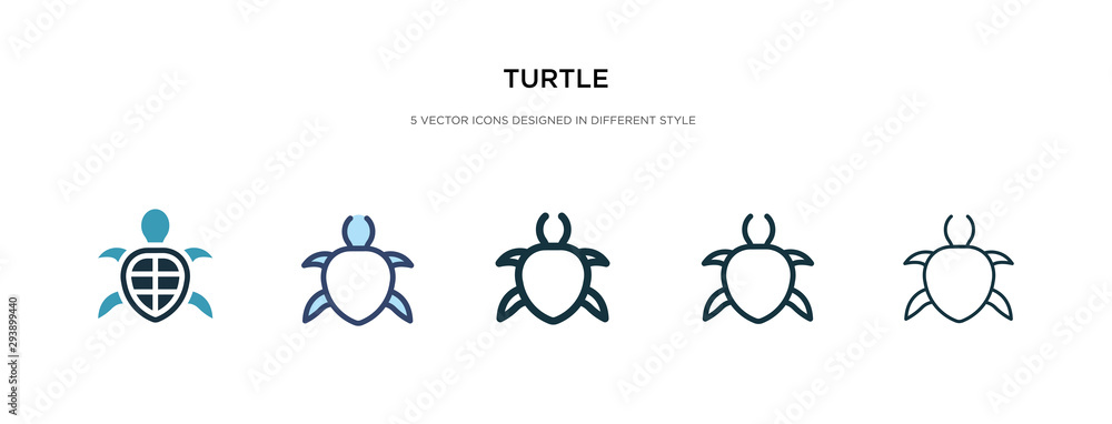 Poster turtle icon in different style vector illustration. two colored and black turtle vector icons design