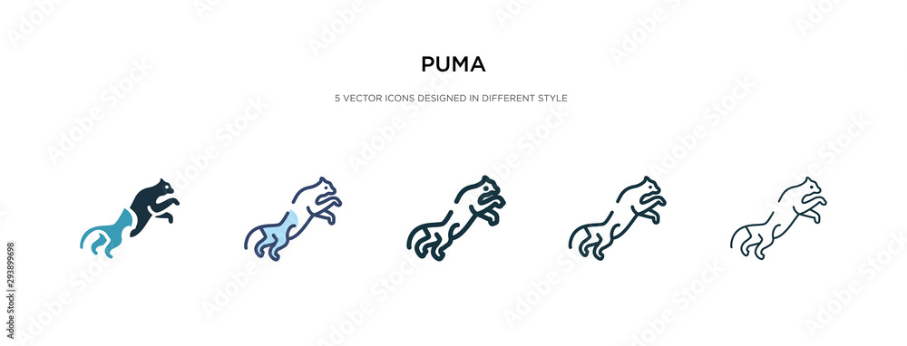 Poster puma icon in different style vector illustration. two colored and black puma vector icons designed i