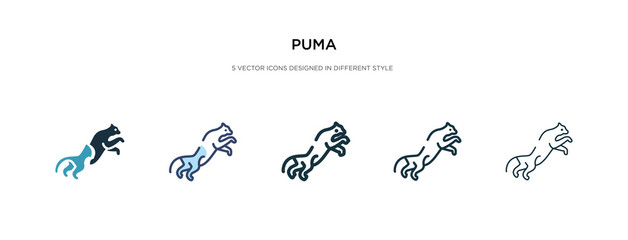puma icon in different style vector illustration. two colored and black puma vector icons designed in filled, outline, line and stroke style can be used for web, mobile, ui