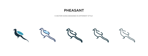 pheasant icon in different style vector illustration. two colored and black pheasant vector icons designed in filled, outline, line and stroke style can be used for web, mobile, ui