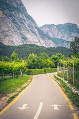 Arco, Dro, Trentino region, Italy. Mountains. Vineyards. Heaven for cyclist. Bicycle path.