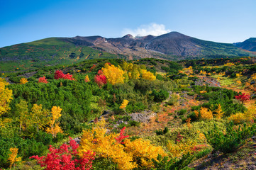 十勝岳の紅葉