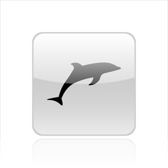 Dolphin icon vector design. Sea animals