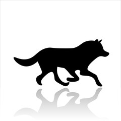 Wolf icon vector design. Northern dog