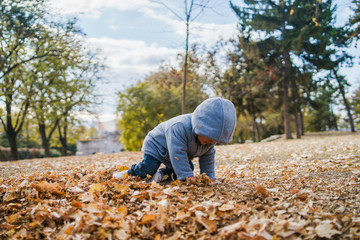 Portrait of small boy wearing coat playing with brown fallen leaves in park on the field in autumn day having fun in nature