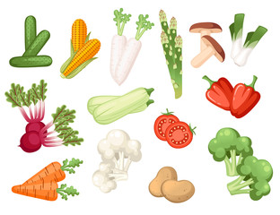 Set of fresh raw vegetables flat vector illustration isolated on white background