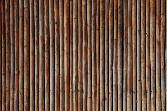 Dry bamboo texture