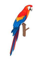 Adult parrot of red-and-green macaw Ara sitting on a branch (Ara chloropterus) cartoon bird design flat vector illustration isolated on white background