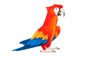 Adult parrot of red-and-green macaw Ara standing on two legs(Ara chloropterus) cartoon bird design flat vector illustration isolated on white background