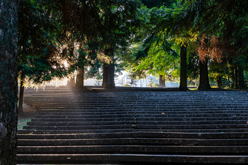 Die letzten Sonnenstrahlen scheinen auf eine Steintreppe 