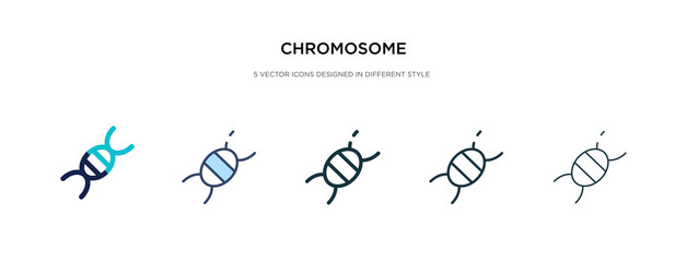chromosome icon in different style vector illustration. two colored and black chromosome vector icons designed in filled, outline, line and stroke style can be used for web, mobile, ui