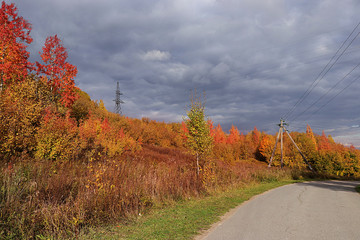 Autumn road in Russia, the track among the red and yellow trees in the forest. The beauty of the September