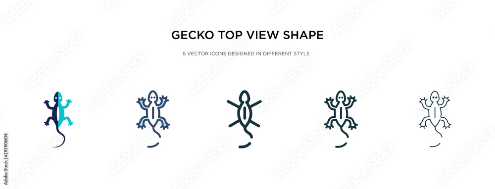 Poster gecko top view shape icon in different style vector illustration. two colored and black gecko top vi