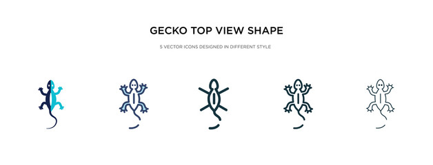 gecko top view shape icon in different style vector illustration. two colored and black gecko top view shape vector icons designed in filled, outline, line and stroke style can be used for web, - obrazy, fototapety, plakaty