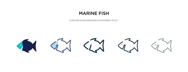 marine fish icon in different style vector illustration. two colored and black marine fish vector icons designed in filled, outline, line and stroke style can be used for web, mobile, ui