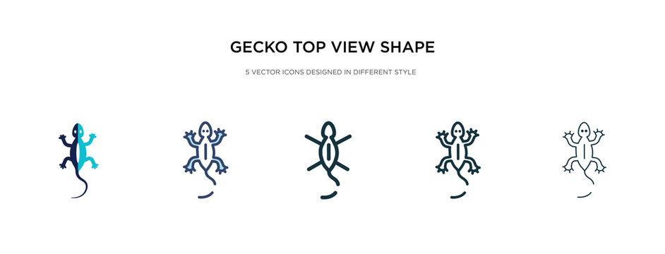 Shape of view