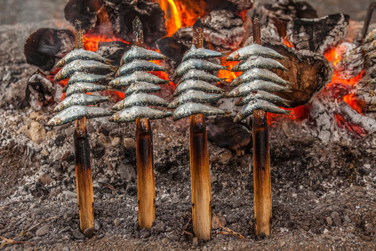 sardines skewed, Spain