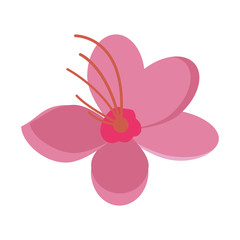 cherry blossom design