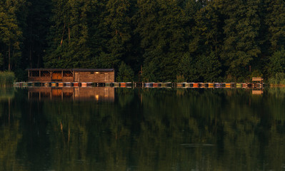 Forest Lake Idylle