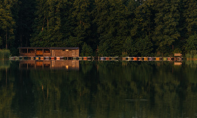 Obraz premium Forest Lake Idylle