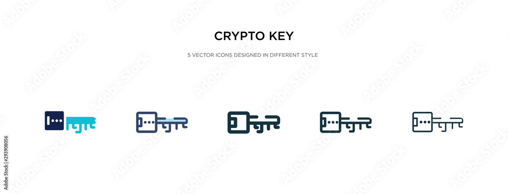 Aufkleber crypto key icon in different style vector illustration. two colored and black crypto key vector icon