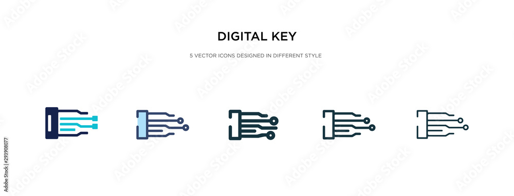 Poster digital key icon in different style vector illustration. two colored and black digital key vector ic