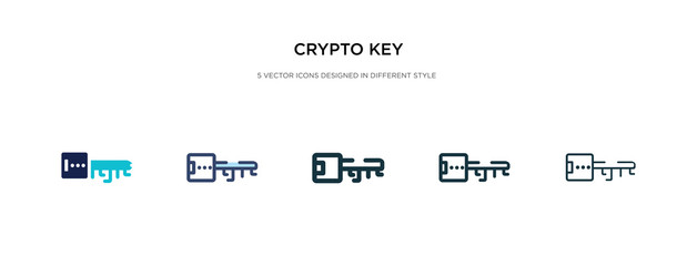 crypto key icon in different style vector illustration. two colored and black crypto key vector icons designed in filled, outline, line and stroke style can be used for web, mobile, ui