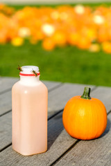 Yellow jackets on apple cider bottle with small pumpkin on table; shall dof with many pumpkins in the background 