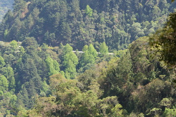 campos do jordao