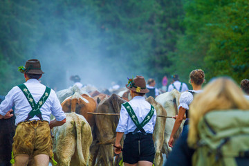 Viehscheid - Almabtrieb - Allgäu