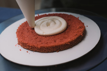 confectioner squeezes the cream on the cake. Girl making a cake