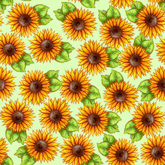 Sunflower flowers hand drawing seamless pattern. Design for fabric, textile, paper.