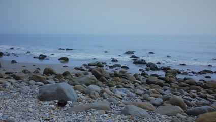 The Rocky Shore