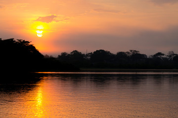 Panorama from Amazon rainforest, Brazilian wetland region.