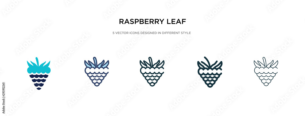 Poster raspberry leaf icon in different style vector illustration. two colored and black raspberry leaf vec
