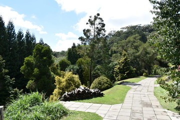 Obraz premium campos do jordao