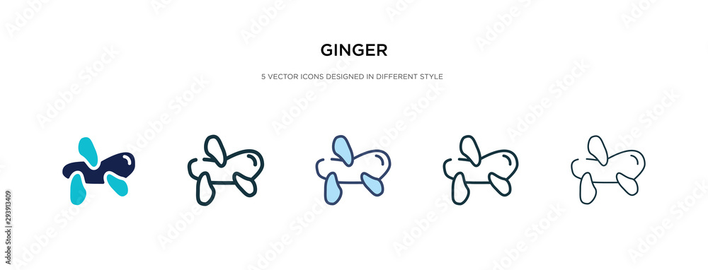 Poster ginger icon in different style vector illustration. two colored and black ginger vector icons design