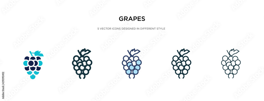 Poster grapes icon in different style vector illustration. two colored and black grapes vector icons design