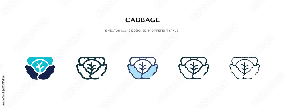 Poster cabbage icon in different style vector illustration. two colored and black cabbage vector icons desi