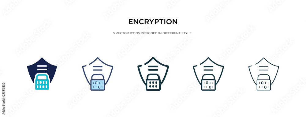 Poster encryption icon in different style vector illustration. two colored and black encryption vector icon