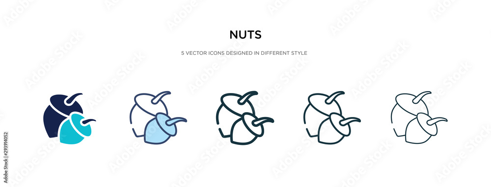 Poster nuts icon in different style vector illustration. two colored and black nuts vector icons designed i