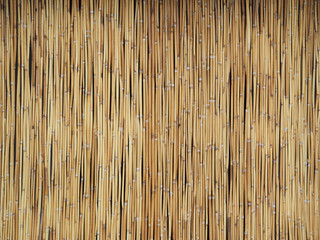 Fence made of bamboo. Background.