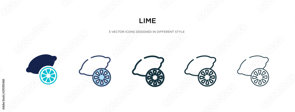 Poster lime icon in different style vector illustration. two colored and black lime vector icons designed i