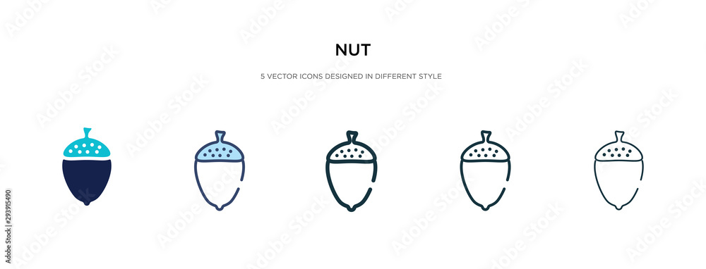 Poster nut icon in different style vector illustration. two colored and black nut vector icons designed in 