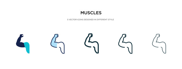 muscles icon in different style vector illustration. two colored and black muscles vector icons designed in filled, outline, line and stroke style can be used for web, mobile, ui